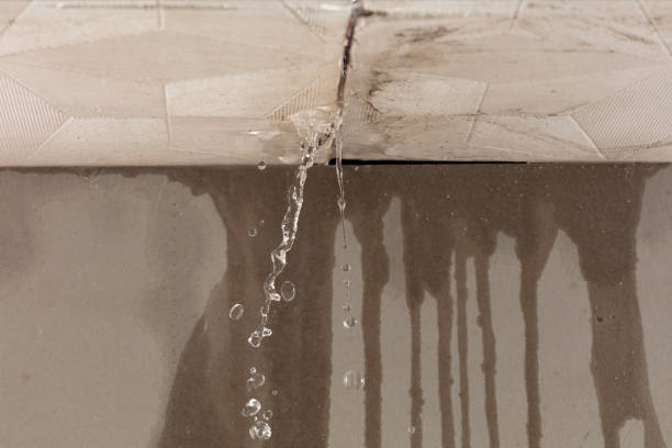Professional Structural Drying technician working in Snoqualmie Pass, WA